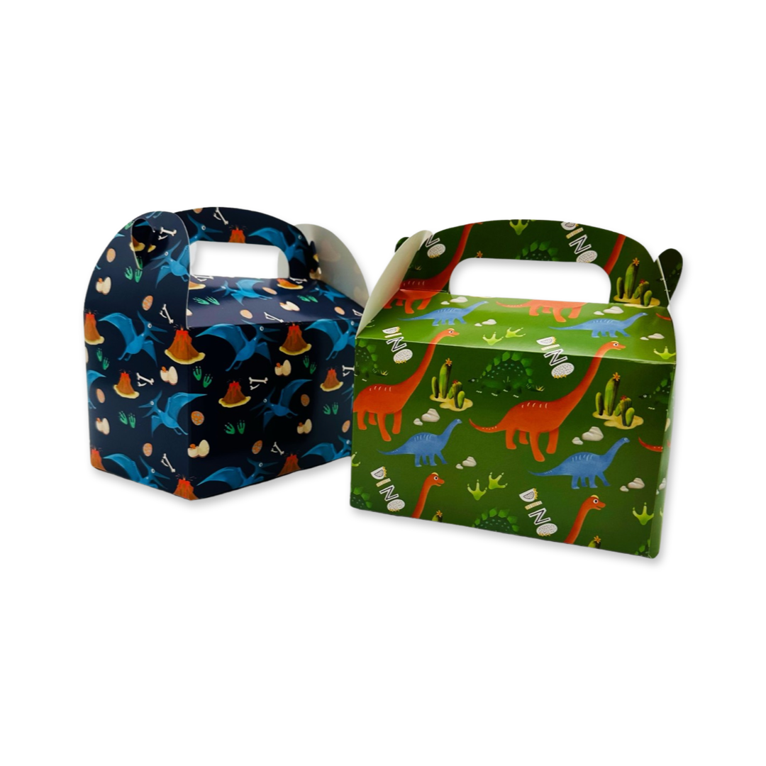 SET of 12 Dinosaur Box